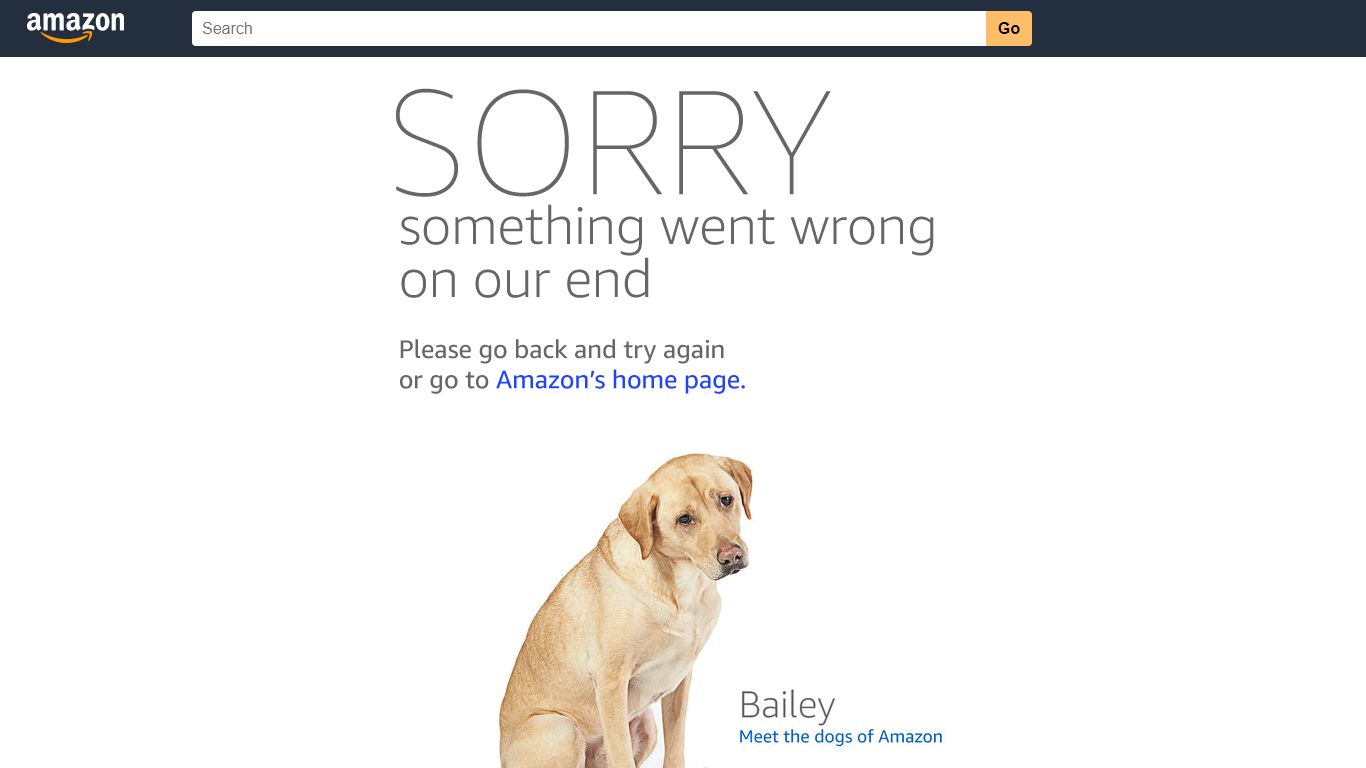 Amazon.com: fbi id